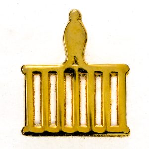Allied Masonic Order - lapel pin